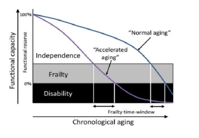 Glass bottles containing beverages