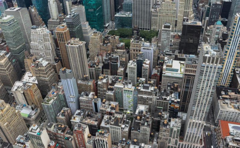 Breathing the Concrete Jungle: The Hidden Impact of City Life