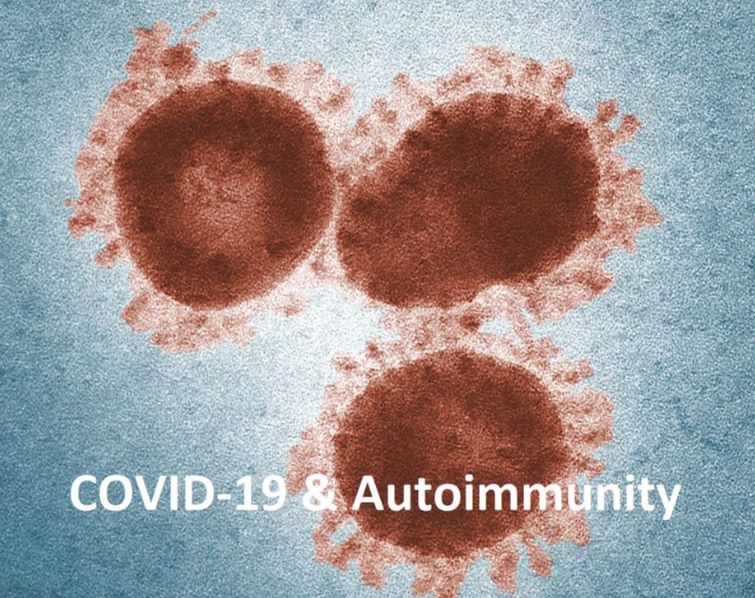 When COVID-19 Confuses the Immune System: The Emerging Connection between Infection and Autoimmunity