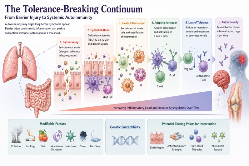 The Tolerance-Breaking Continuum: From Barrier Injury to Systemic Autoimmunity